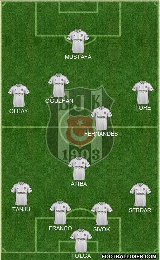 Besiktas JK Formation 2013