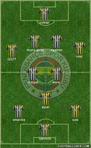 Fenerbahçe SK Formation 2013