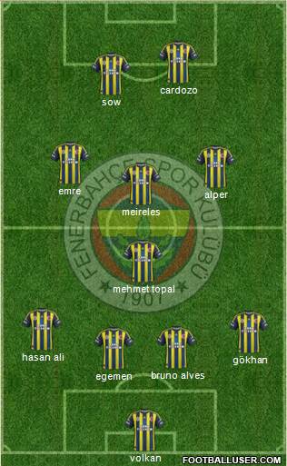 Fenerbahçe SK Formation 2013