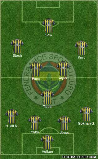 Fenerbahçe SK Formation 2013