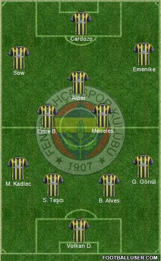 Fenerbahçe SK Formation 2013