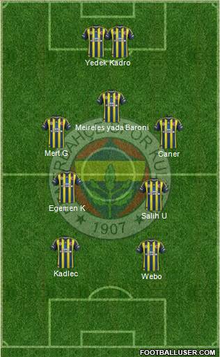 Fenerbahçe SK Formation 2013