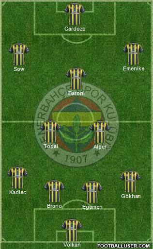 Fenerbahçe SK Formation 2013