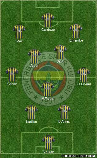 Fenerbahçe SK Formation 2013