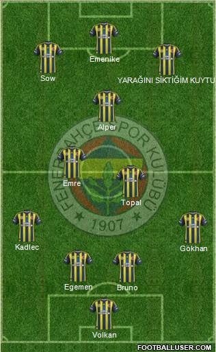 Fenerbahçe SK Formation 2013