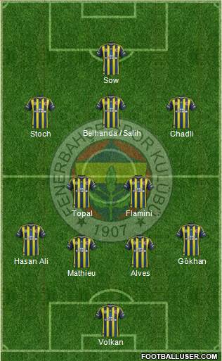 Fenerbahçe SK Formation 2013