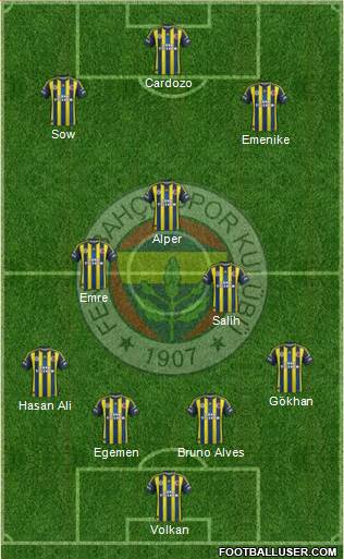 Fenerbahçe SK Formation 2013