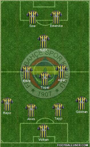 Fenerbahçe SK Formation 2013