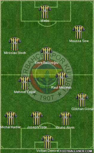 Fenerbahçe SK Formation 2013