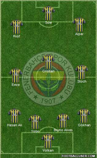 Fenerbahçe SK Formation 2013