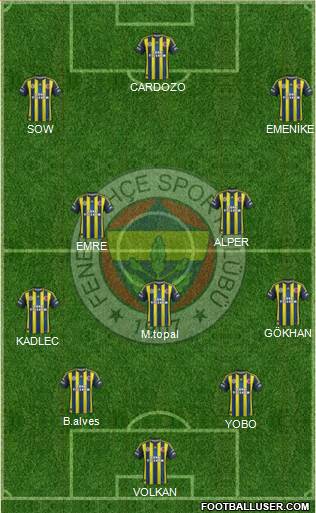 Fenerbahçe SK Formation 2013