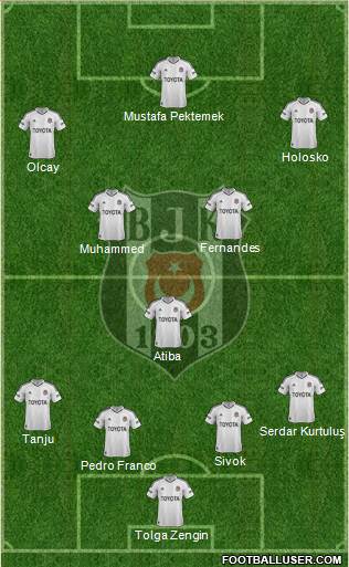 Besiktas JK Formation 2013