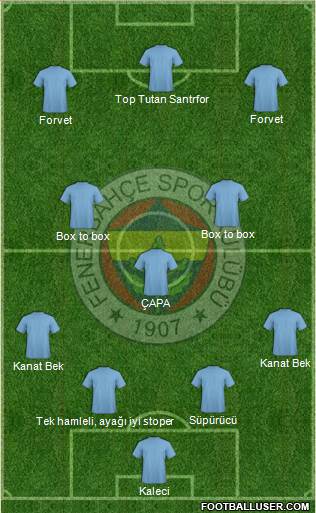 Fenerbahçe SK Formation 2013