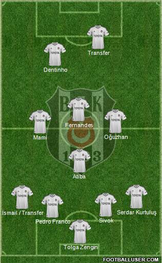 Besiktas JK Formation 2013