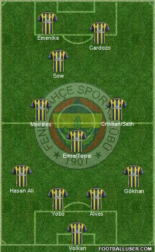 Fenerbahçe SK Formation 2013