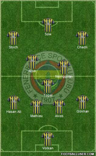 Fenerbahçe SK Formation 2013