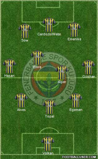 Fenerbahçe SK Formation 2013
