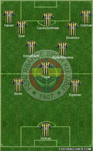 Fenerbahçe SK Formation 2013