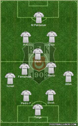 Besiktas JK Formation 2013