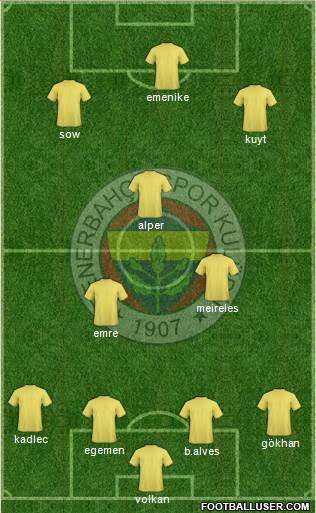 Fenerbahçe SK Formation 2013