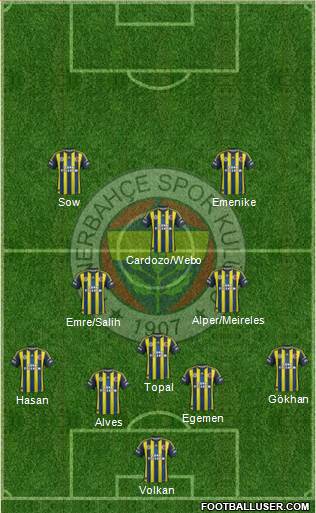 Fenerbahçe SK Formation 2013