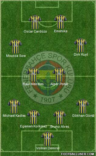 Fenerbahçe SK Formation 2013