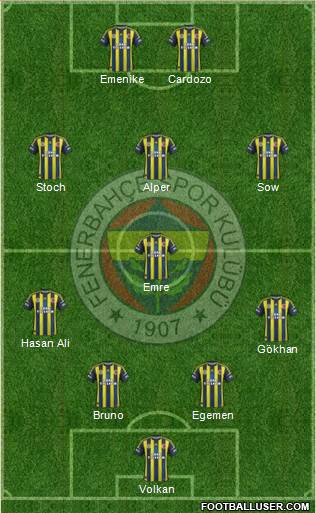 Fenerbahçe SK Formation 2013