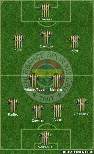 Fenerbahçe SK Formation 2013