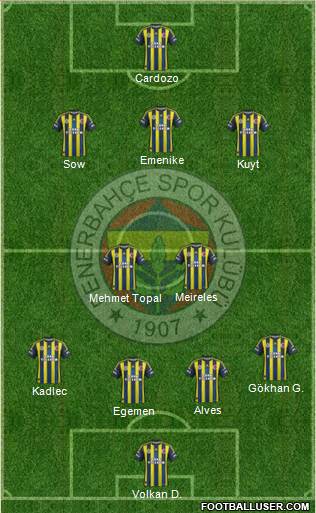 Fenerbahçe SK Formation 2013