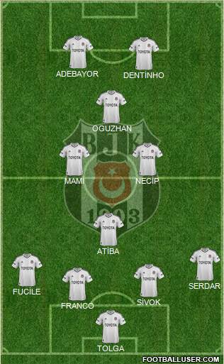 Besiktas JK Formation 2013