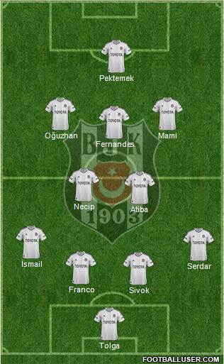 Besiktas JK Formation 2013