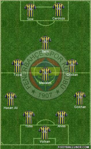Fenerbahçe SK Formation 2013