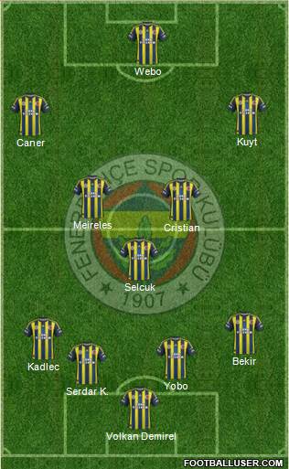 Fenerbahçe SK Formation 2013