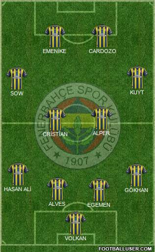 Fenerbahçe SK Formation 2013