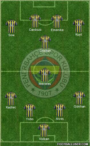 Fenerbahçe SK Formation 2013