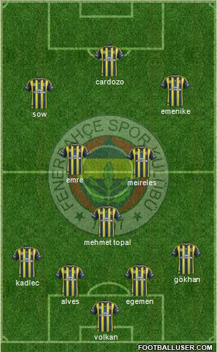 Fenerbahçe SK Formation 2013