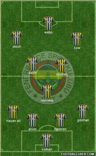 Fenerbahçe SK Formation 2013