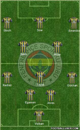 Fenerbahçe SK Formation 2013