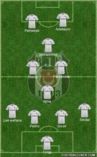 Besiktas JK Formation 2013