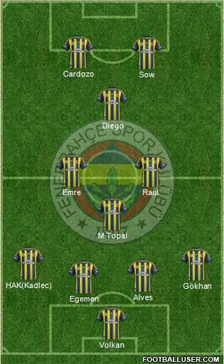 Fenerbahçe SK Formation 2013