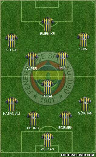 Fenerbahçe SK Formation 2013