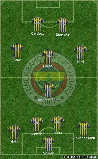 Fenerbahçe SK Formation 2013