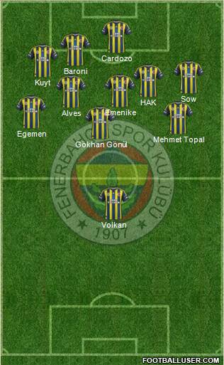 Fenerbahçe SK Formation 2013