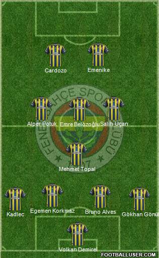 Fenerbahçe SK Formation 2013