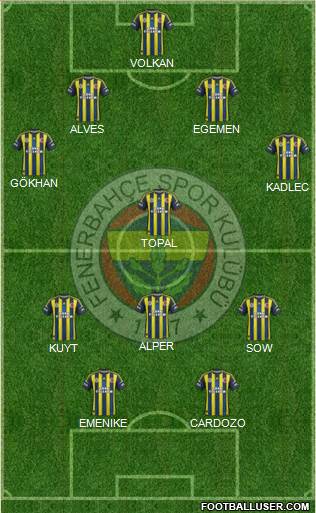 Fenerbahçe SK Formation 2013