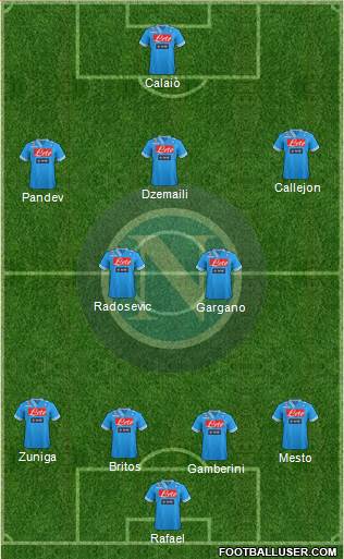 Napoli Formation 2013