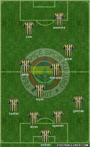 Fenerbahçe SK Formation 2013