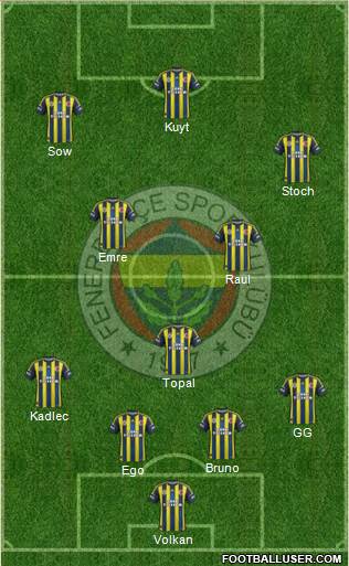 Fenerbahçe SK Formation 2013