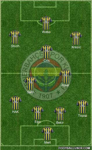 Fenerbahçe SK Formation 2013