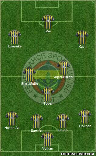 Fenerbahçe SK Formation 2013